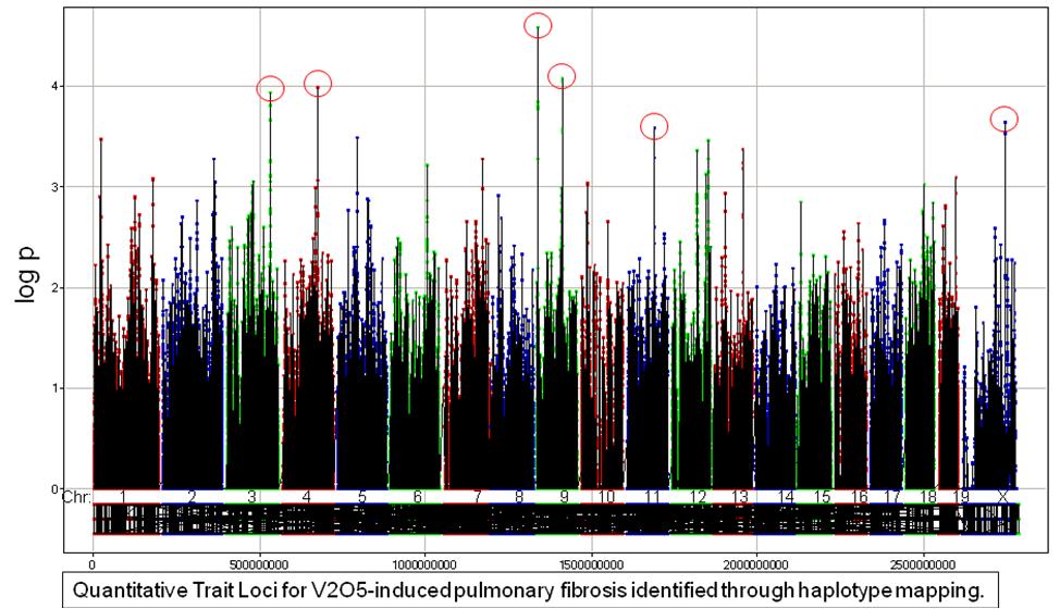 Quantitative trait loci for V205-induced pulmonary fibrosis identified through haplotype mapping.